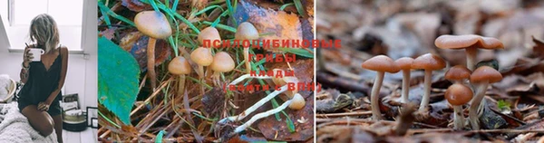 mdpv Семёнов