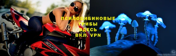 а пвп мука Богданович