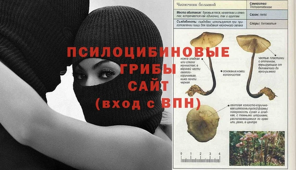 метадон Богородск