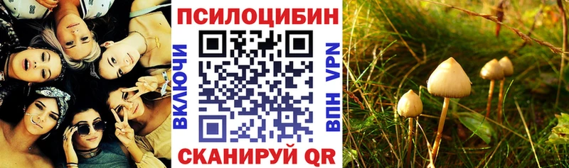 сколько стоит  Верещагино  Галлюциногенные грибы прущие грибы 